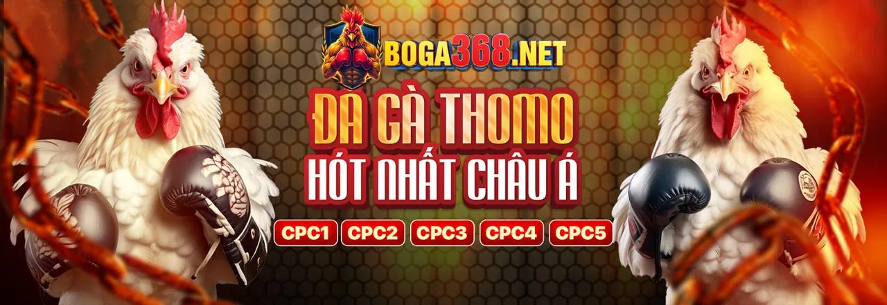 Tổng quan Điều khoản Dịch vụ SV88BET
